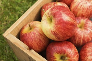 Box of red apples