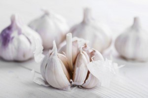 cure allergies garlic