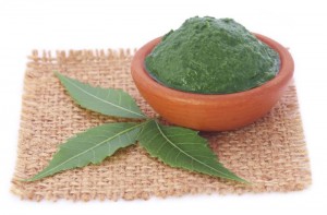 Medicinal neem leaves with paste
