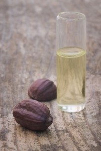 Jojoba (Simmondsia chinensis) seeds and oil