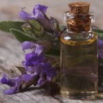 flowering sage and fragrant oil horizontal