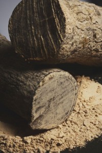 Treating a Toothache white oak bark