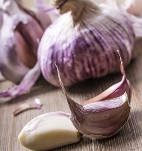 ear infection garlic