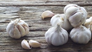 Garlic on the wooden background