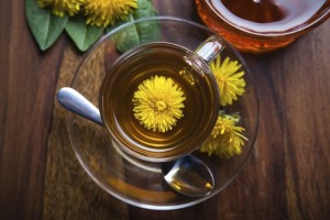 dandelion tisane tea with yellow blossom inside teacup