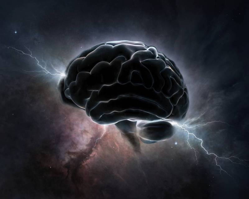 human mind - brain